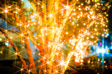 Golden shining trees. Shooting Location: Minato Ward, Tokyoの写真素材