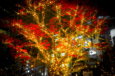 Trees with autumn leaves and shining lights. Shooting Location: Minato Ward, Tokyoの写真素材