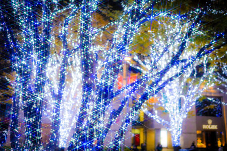 White and blue lights on roadside trees. Shooting Location: Minato Ward, Tokyoの写真素材