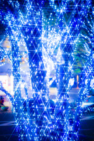 Trees shining in blue light. Shooting Location: Minato Ward, Tokyoの写真素材