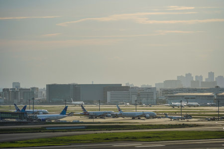 Evening view of Haneda Airport and a group of aircraft. Shooting Location: Ota Ward, Tokyoの写真素材