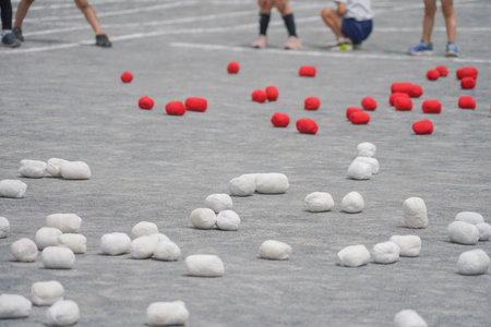 Children participate in ball throwing. Shooting Location: Kanagawa Ward, Yokohama Cityの写真素材