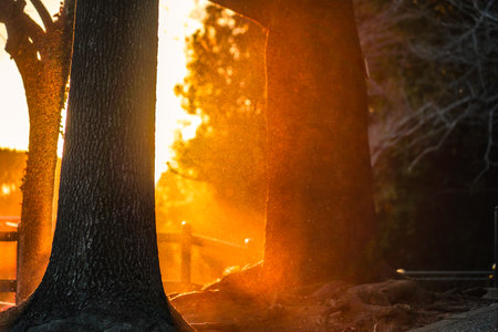 Evening view of Kishine Park. Shooting Location: Kohoku Ward, Yokohama Cityの写真素材