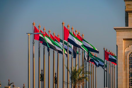 UAE flags lined up. Shooting Location: Abu Dhabiの写真素材