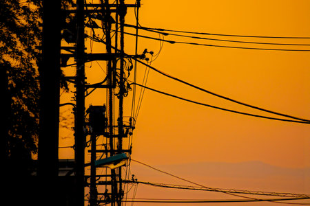 Sunset electric wire silhouette. Shooting Location: Kohoku Ward, Yokohama City