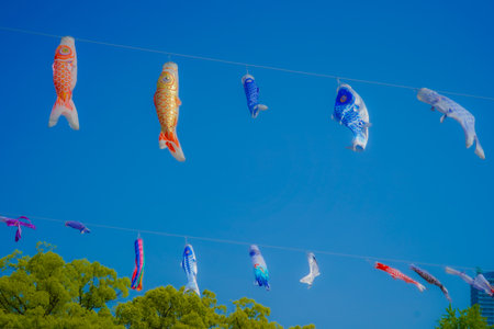 Carp streamers swimming in a line. Shooting Location: Kanagawa Ward, Yokohama Cityの写真素材