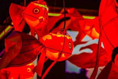 A flock of red goldfish lanterns. Shooting Location: Shinjuku Ward, Tokyoの写真素材