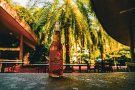 Palm trees and bottled beer. Shooting Location: Singaporeの写真素材