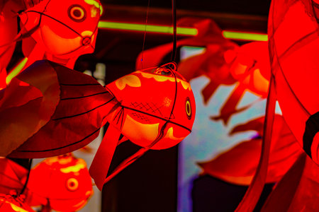 Red goldfish lanterns at the night festival. Shooting Location: Shinjuku Ward, Tokyoの写真素材