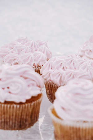 Cupcakes with vanilla flavor and light pink fluff photographed in the snow.の写真素材