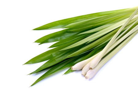 Lemongrass leaf and fresh pandan leaves on white.