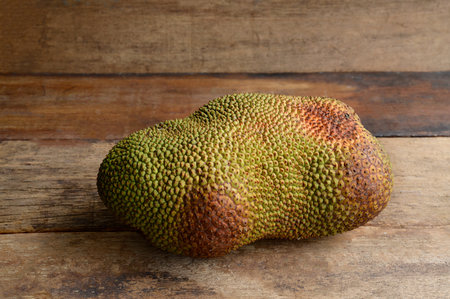 Cempedak or Artocarpus Integer, Sweet Tropical fruits is same genus as jackfruit. It is native fruit...