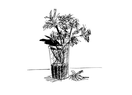 Black painted glass with flower and leaf ink sketch on a white backgroundの写真素材