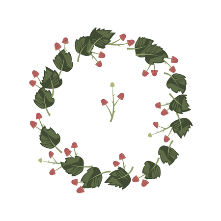 wreath of dark leaves and red raspberries isolated on white backgroundのイラスト素材