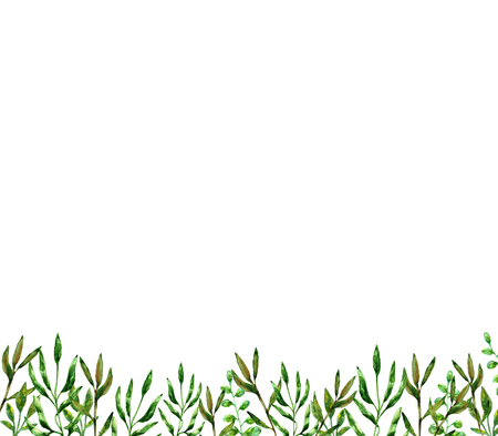 green dark summer plant elements nature ornament decoration framing leaves leaves drawn watercolor isolated on white background frameの写真素材