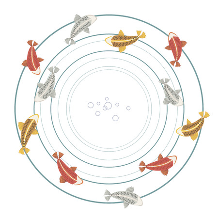 fish carp koi colorful bright red silver golden yellow pattern circles water lake ring drop wave sea double isolated on white background vector illustration illustrationのイラスト素材