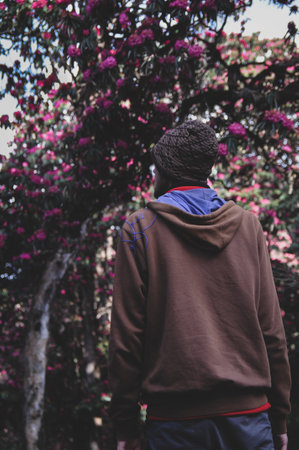 View of man back standing in the nature forestの写真素材
