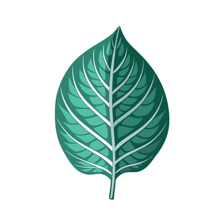 Beautiful flat style leaf icon vector illustrationのイラスト素材