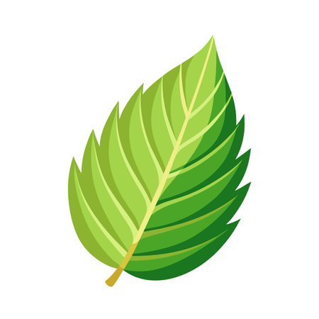 Beautiful flat style leaf icon vector illustrationのイラスト素材