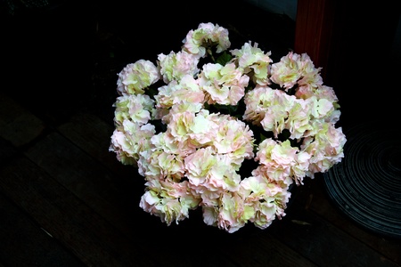 Flower design
