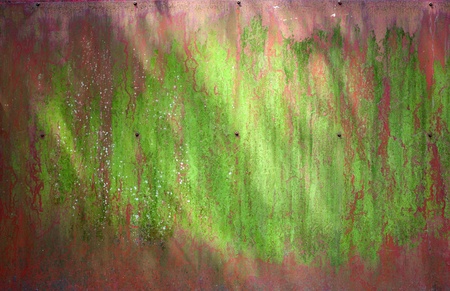 weathered door with mossy color on