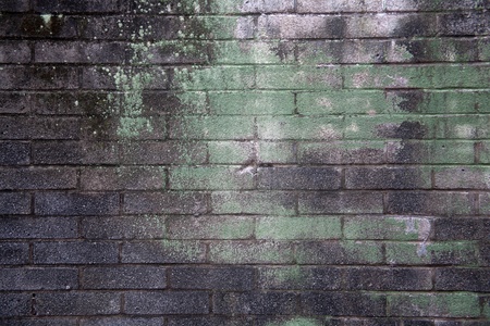 weathered brick texture and wall patternの写真素材