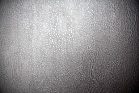 Rhinoceros silver leather background textureの写真素材