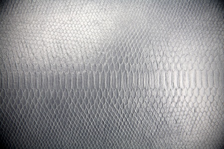 Snake leather skin background sofa