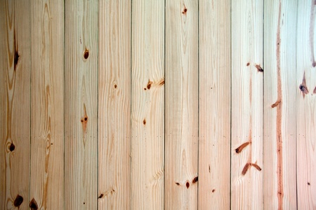 new wood of wood texture