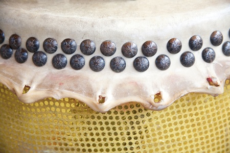 The pigskin system drum on the trim ringの写真素材