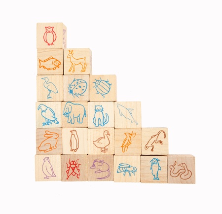 animal wooden blocks eduction blocks