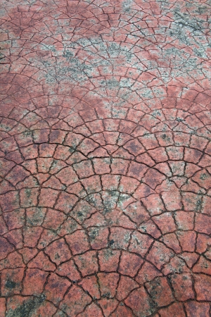 road stone texture and patternの写真素材