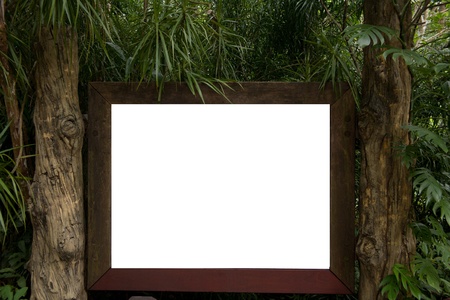 Blank billboard located in forestの写真素材