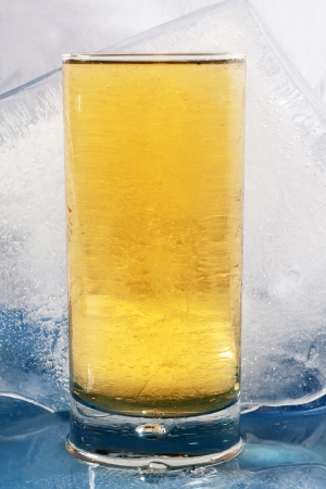 light beer on ice summer conceptの写真素材