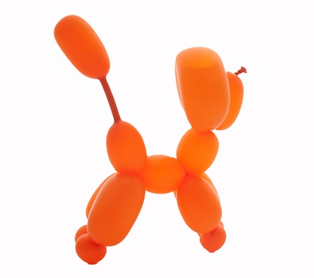 balloon dog/orangeの写真素材