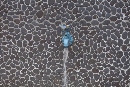 Washbasin wall and a bird jakujiの写真素材