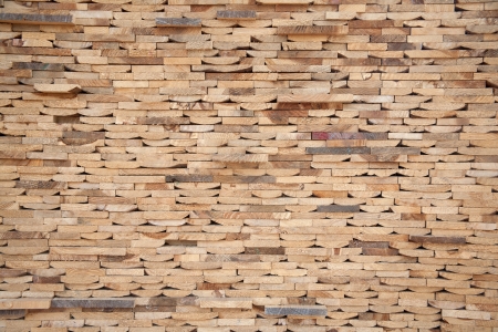 abstract wood log background close-up/Cross section of the timber for the background.の写真素材