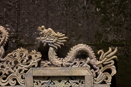 Chinese dragon and phoenix beautiful totem/Dragon Yearの写真素材