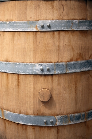 Metal ring with a cork in the barrelの写真素材