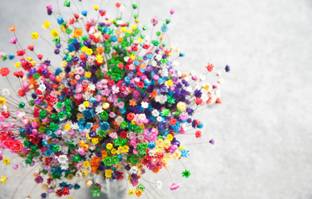 color flower background/ little cosmos flowerの写真素材