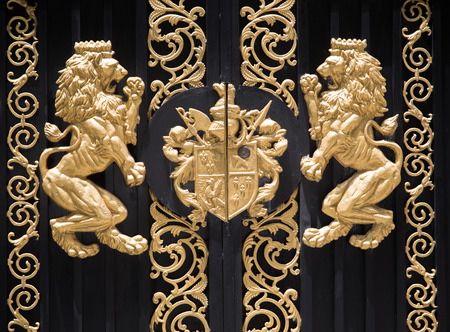 lion deco on doorの写真素材