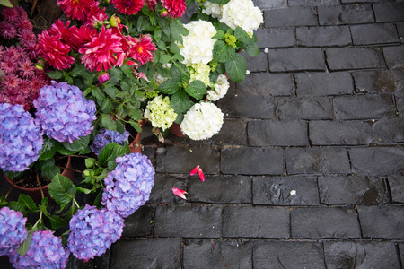 spring garden scene/spring gardenの写真素材