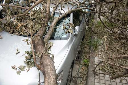 Typhoon damaged car windowsの写真素材