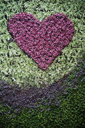 grass and flower wallの写真素材