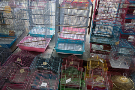 bird cageの写真素材