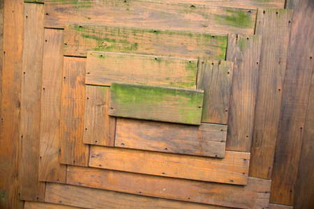 wood texture/wood texture backgroundの写真素材