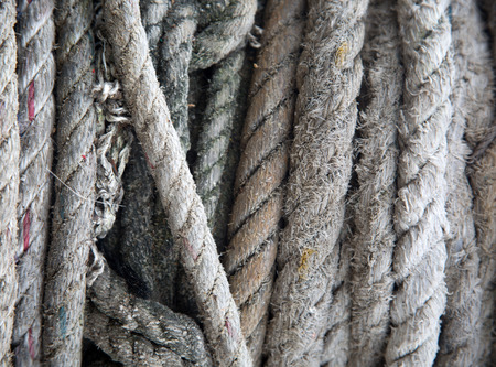 rope on the seaside rocksの写真素材