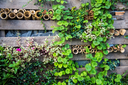 green park decoration and setの写真素材