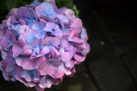 Flowers at an outdoor weddingの写真素材