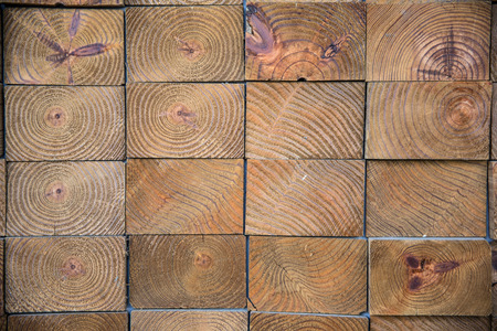 wood texture/wood texture background